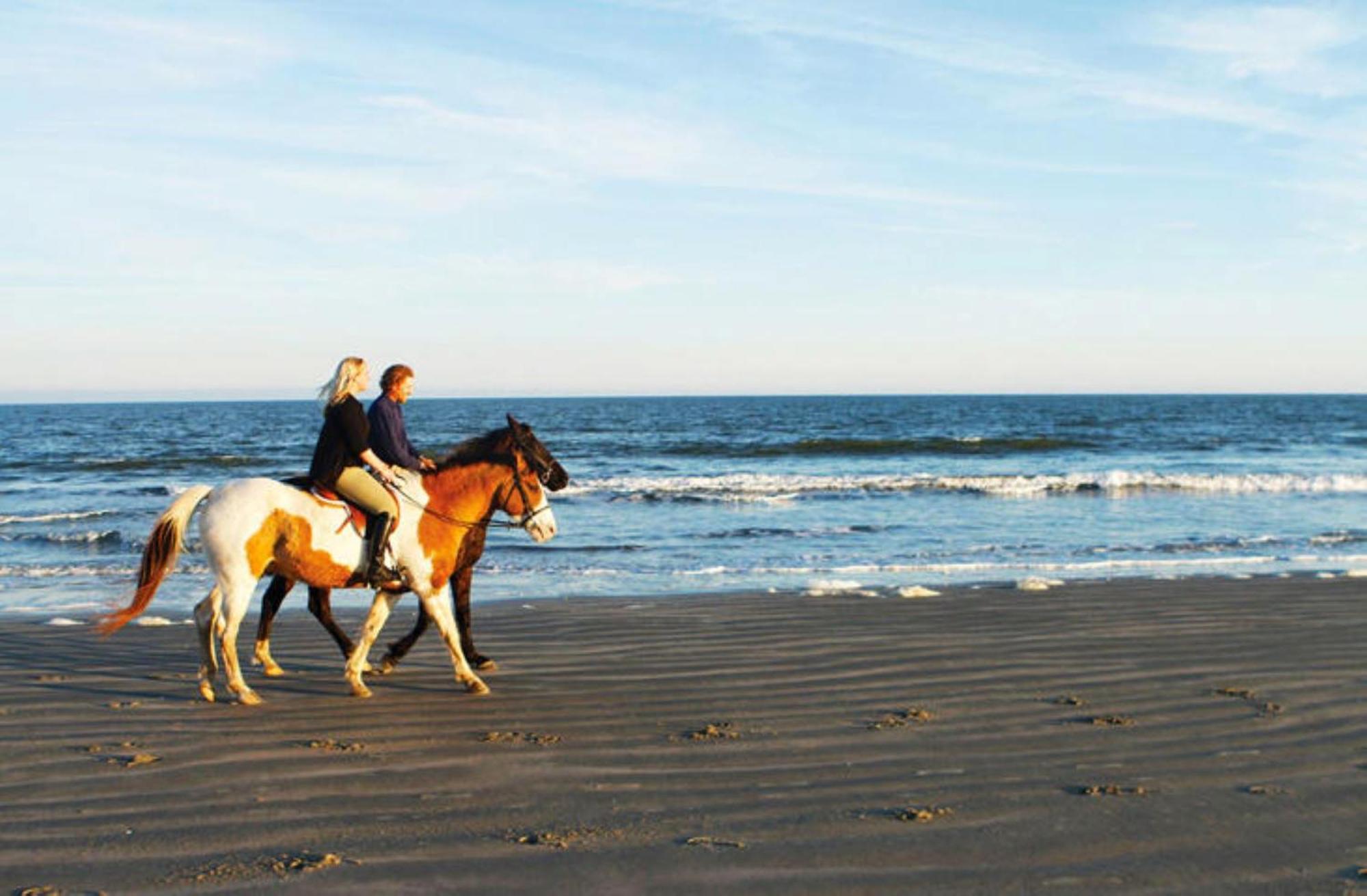 1313 Pelican Watch - Seabrook Island - Beachfront 5 Star Condo - Fido Friendly Exterior photo